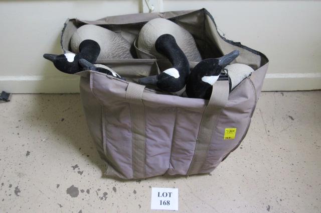 (4) Ducks Unlimited Canadian Geese Plastic Decoys: (4) Ducks Unlimited Canadian Geese Plastic Decoys with Ducks Unlimited Bag, Measures 26" l x 11" w x 12" h, One is Missing a Head