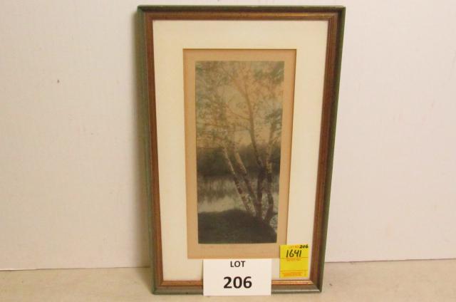 Wallace Nutting: Wallace Nutting "A Birch Strand". 9" x 14 1/2".