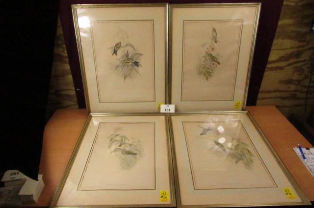 Set of 4 Avian lithographs: Antique framed matted avian colored lithographs by J Gould and HC Richter. Cyanomyia Cyanocephala, Eriocnemis Mosquera, Amazilia Pristina, Petasdphora Cyanotis. 26" x 19 1/2"