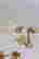 item-112825724=4