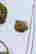 item-112825797=6