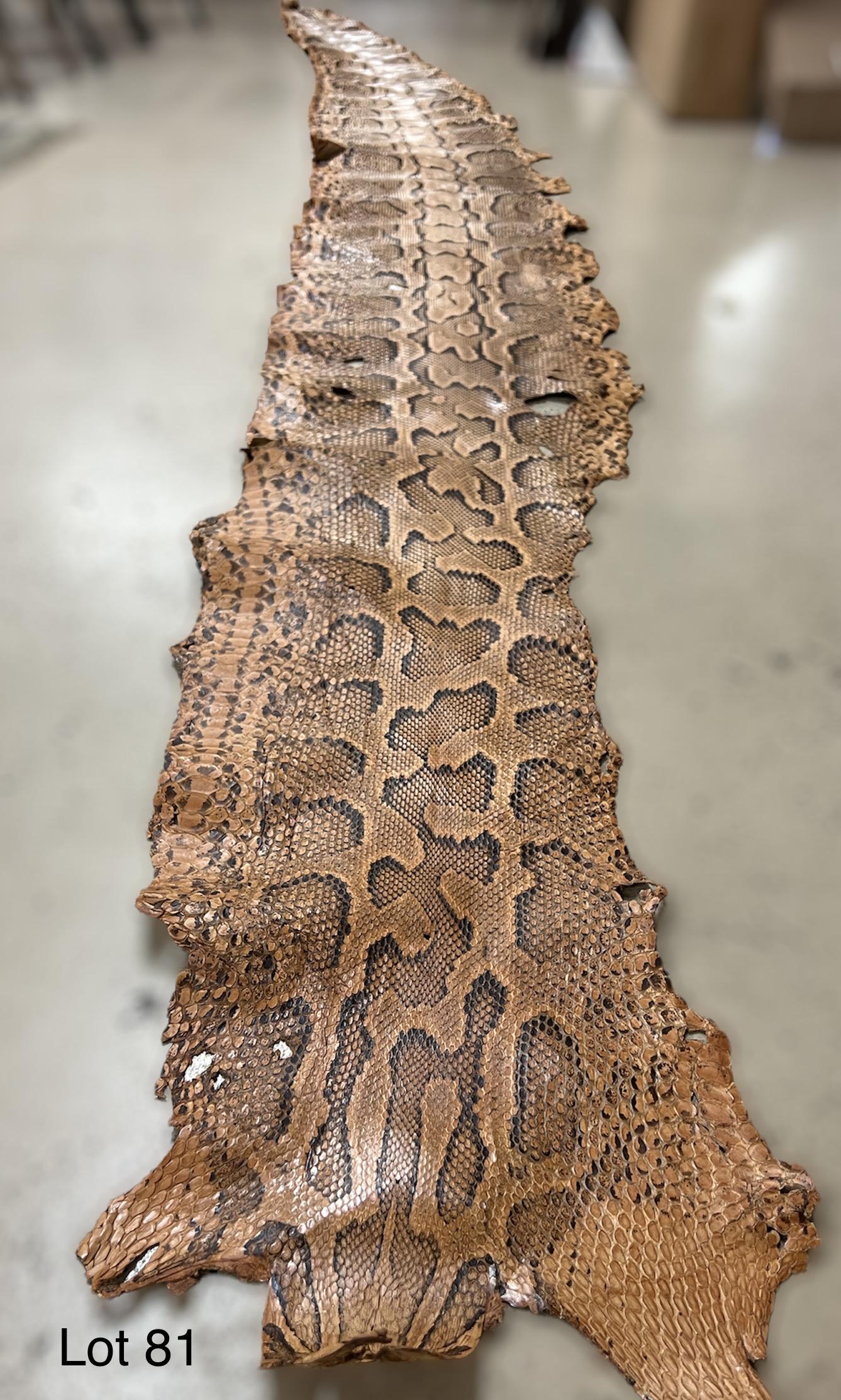 Tanned Python Skin (1 of 9)