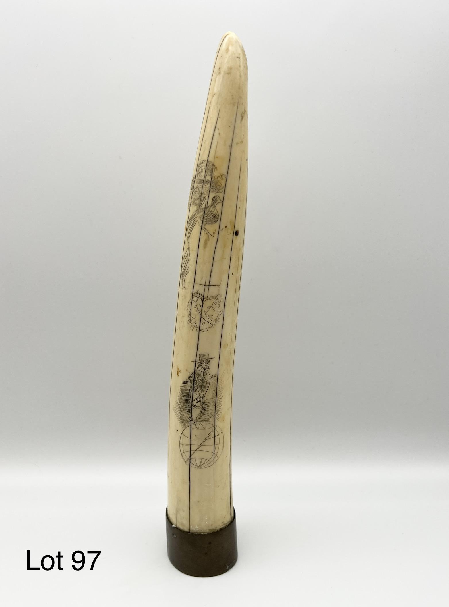 Scrimshawed Tusk: Scrimshawed decorated tusk with sailing ship, bid, sailor and floral decorations. Inscribed "Yorktown" beneath the ship.
