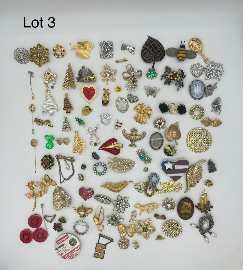 Variety of Costume Pins and Pendants: A wide variety of costume pins and pendants, including cameos, gold and silver tones, hand painted pieces, and much more. Includes some signed.