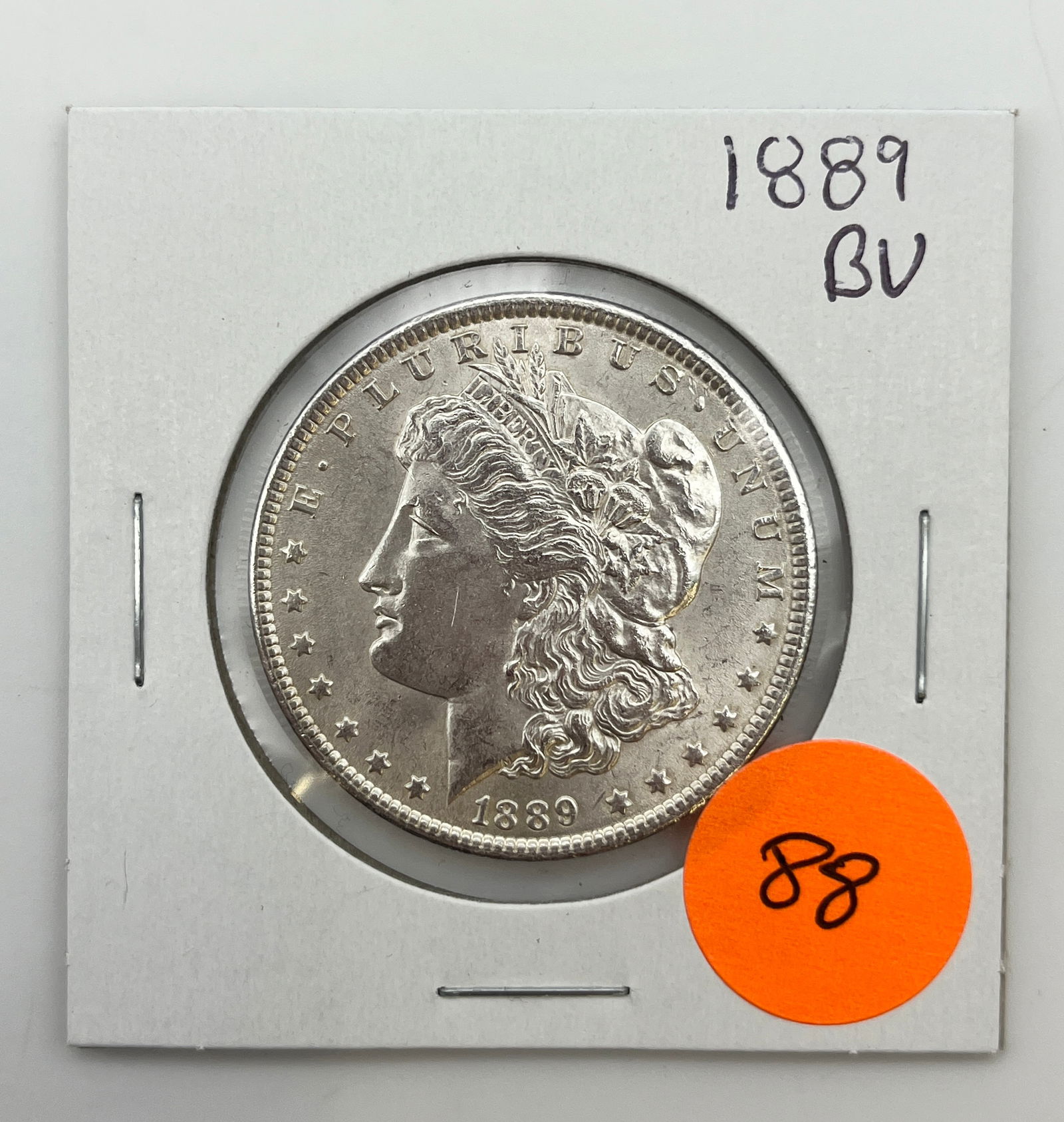 1889 Morgan Dollar (1 of 2)