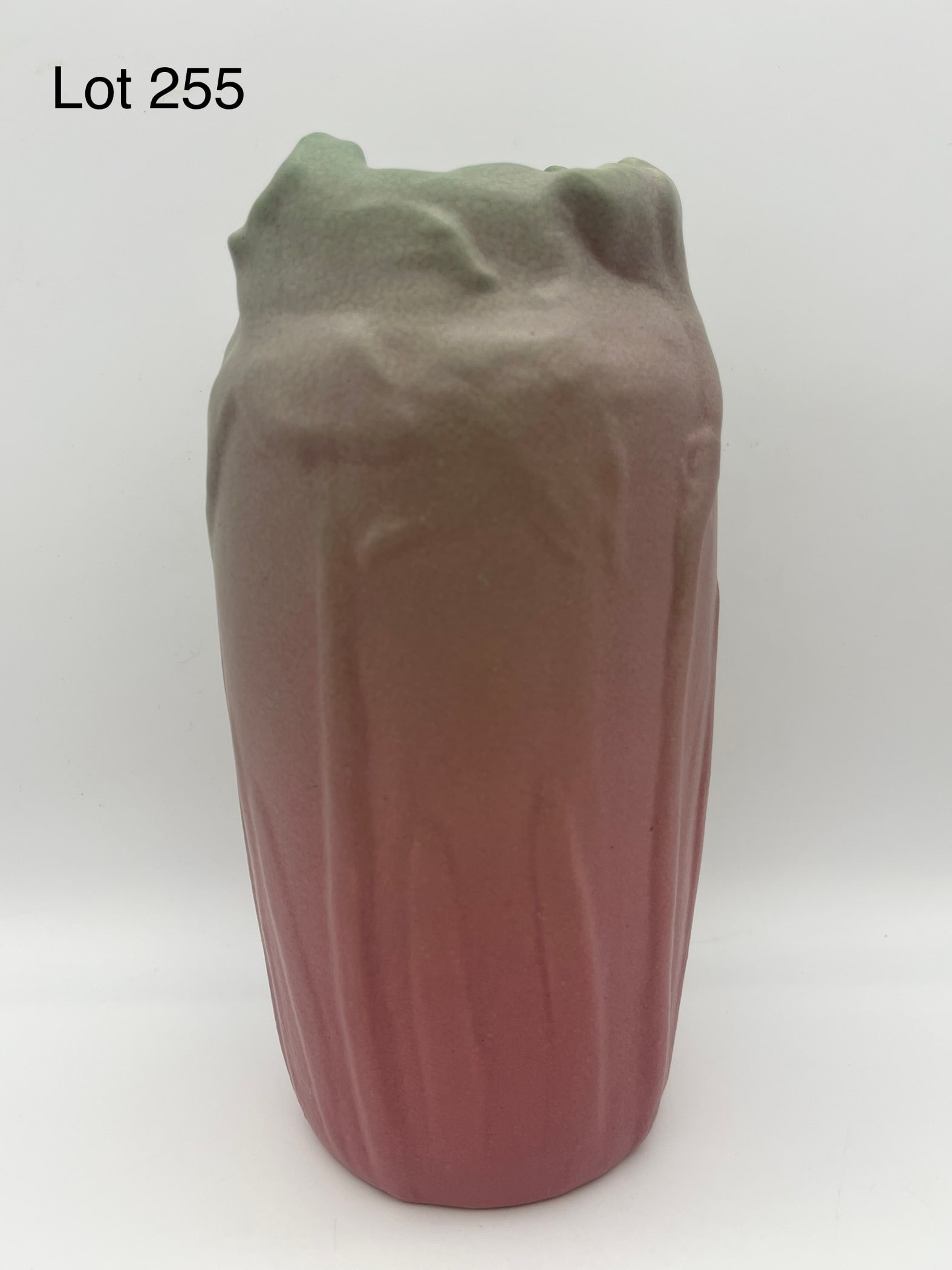 1913 Rookwood Daffodil Vase #1003 (1 of 8)