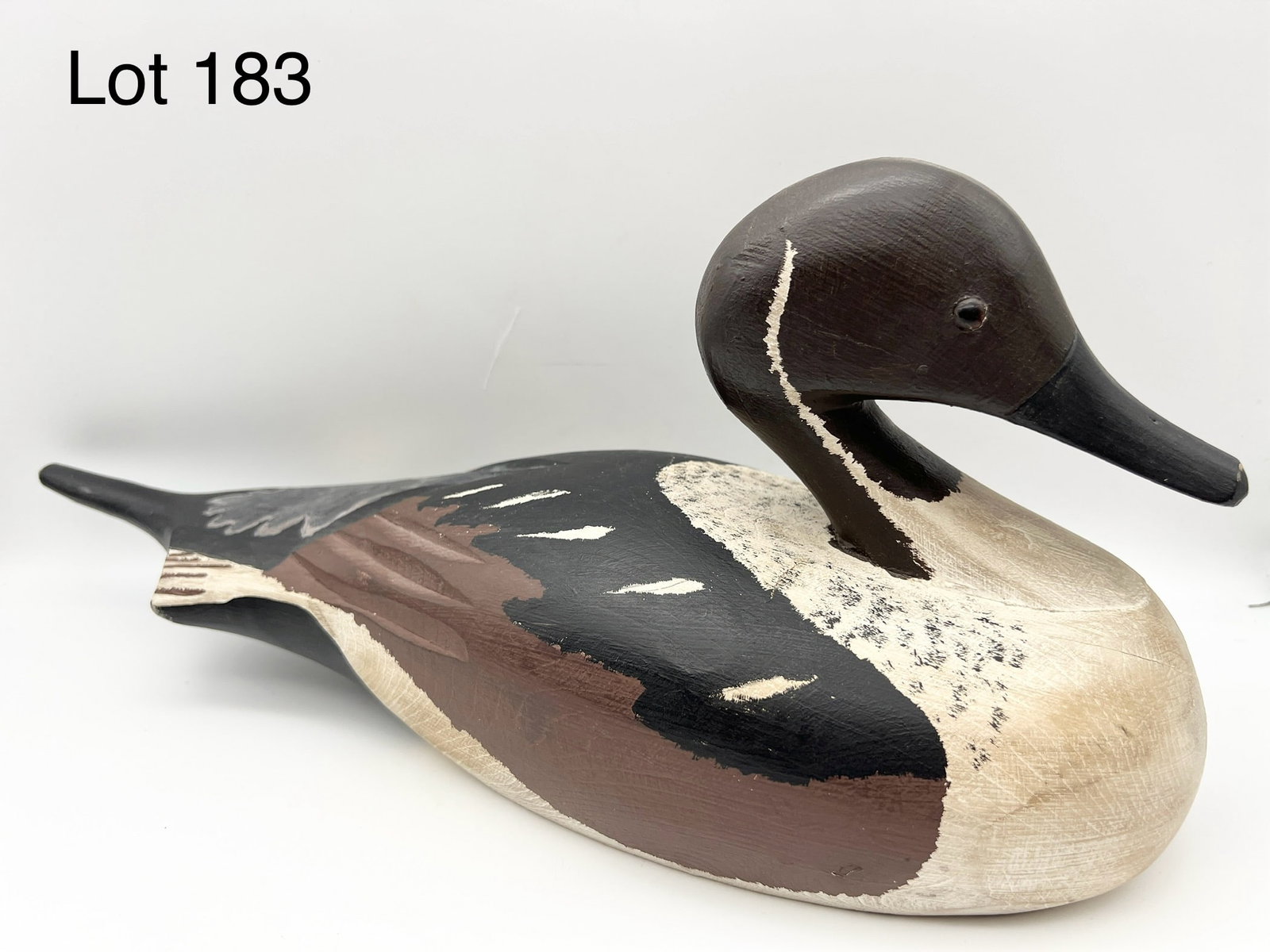 Signed Northern Pintail Duck Decoy: A Northern Pintail duck decoy signed on bottom "D.B.". Measures 18" long. Glass eyes. *notes- crack down bottom