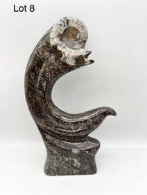 Polished Ammonite Fossil Sculpture