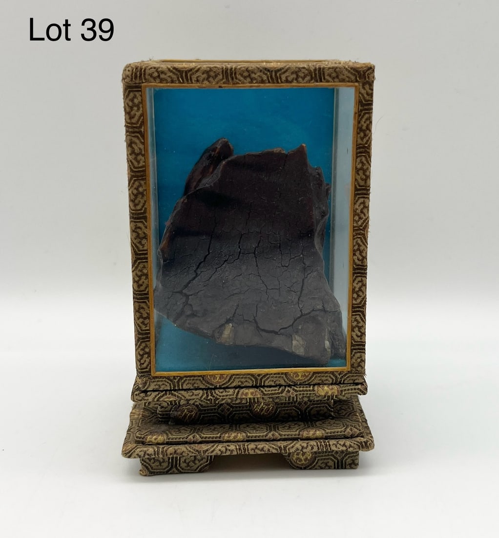 "Baby Mammoth" Tooth: A small-sized "Baby Mammoth" tooth displayed in a glass box. Display box is 5" tall.