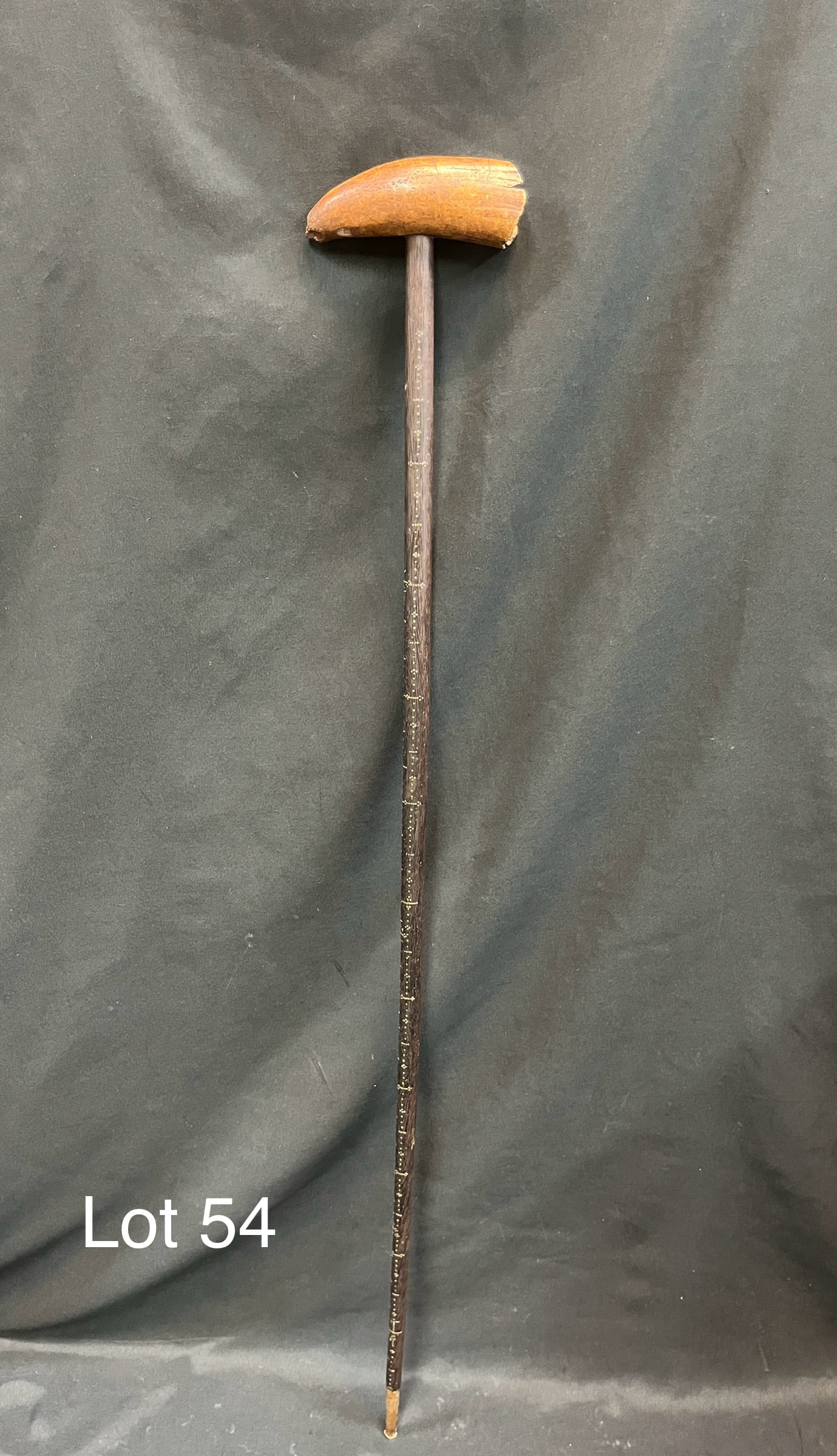 Antique Mariner's Cane with Sperm Whale Tooth: A high quality antique cane with a Sperm Whale tooth serving as a handle. Small brass pin decorations along the length of the shaft with brass ferrule at the tip. Shaft itself may be baleen. Piece mea