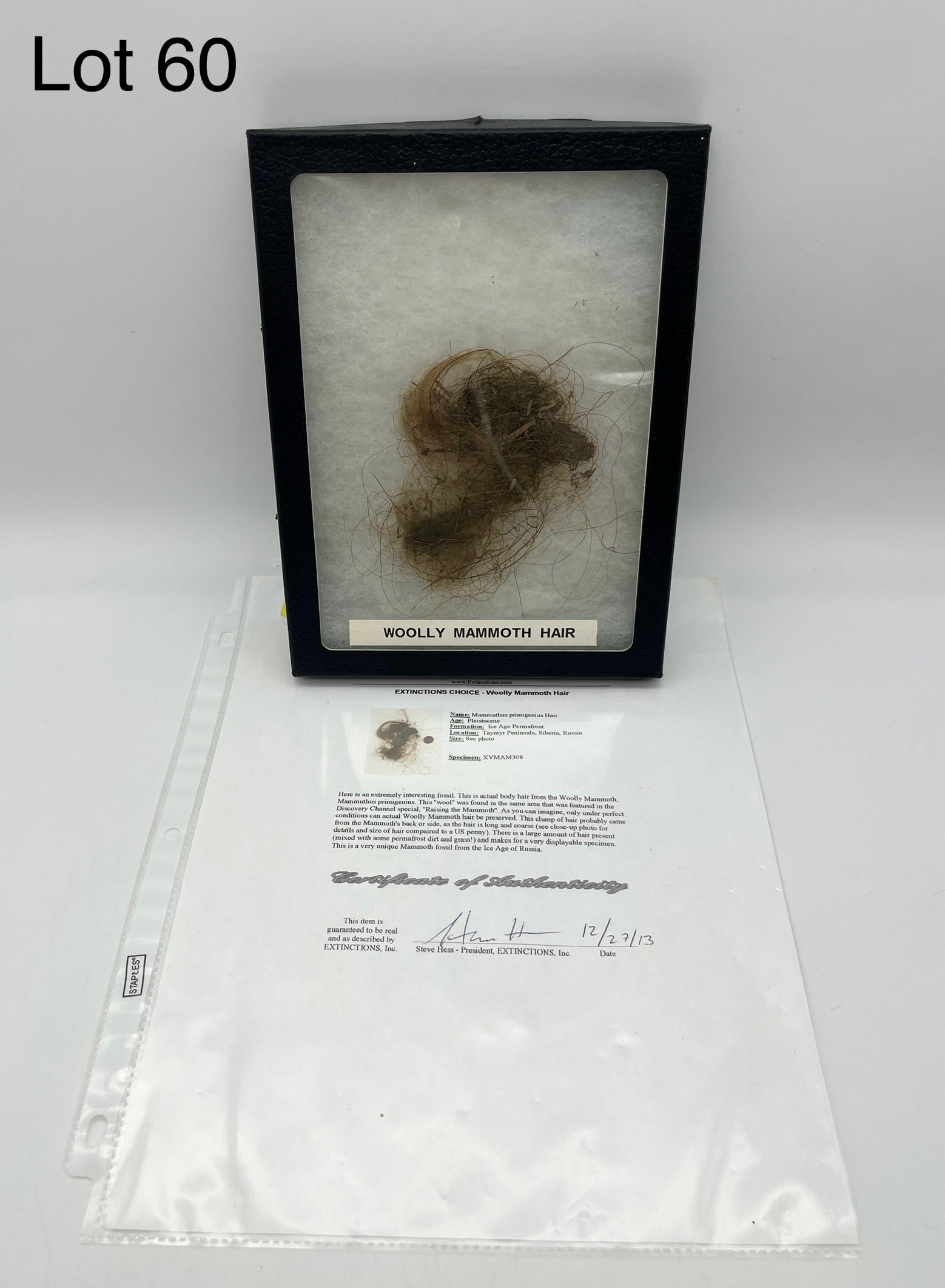 Woolly Mammoth Hair: A sample of hair from the body of a preserved Woolly Mammoth, a Pleistocene Era mammal that lived through the Ice Age. Comes in shadow box case mixed with permafrost, dirt, and grass. Specimen comes f
