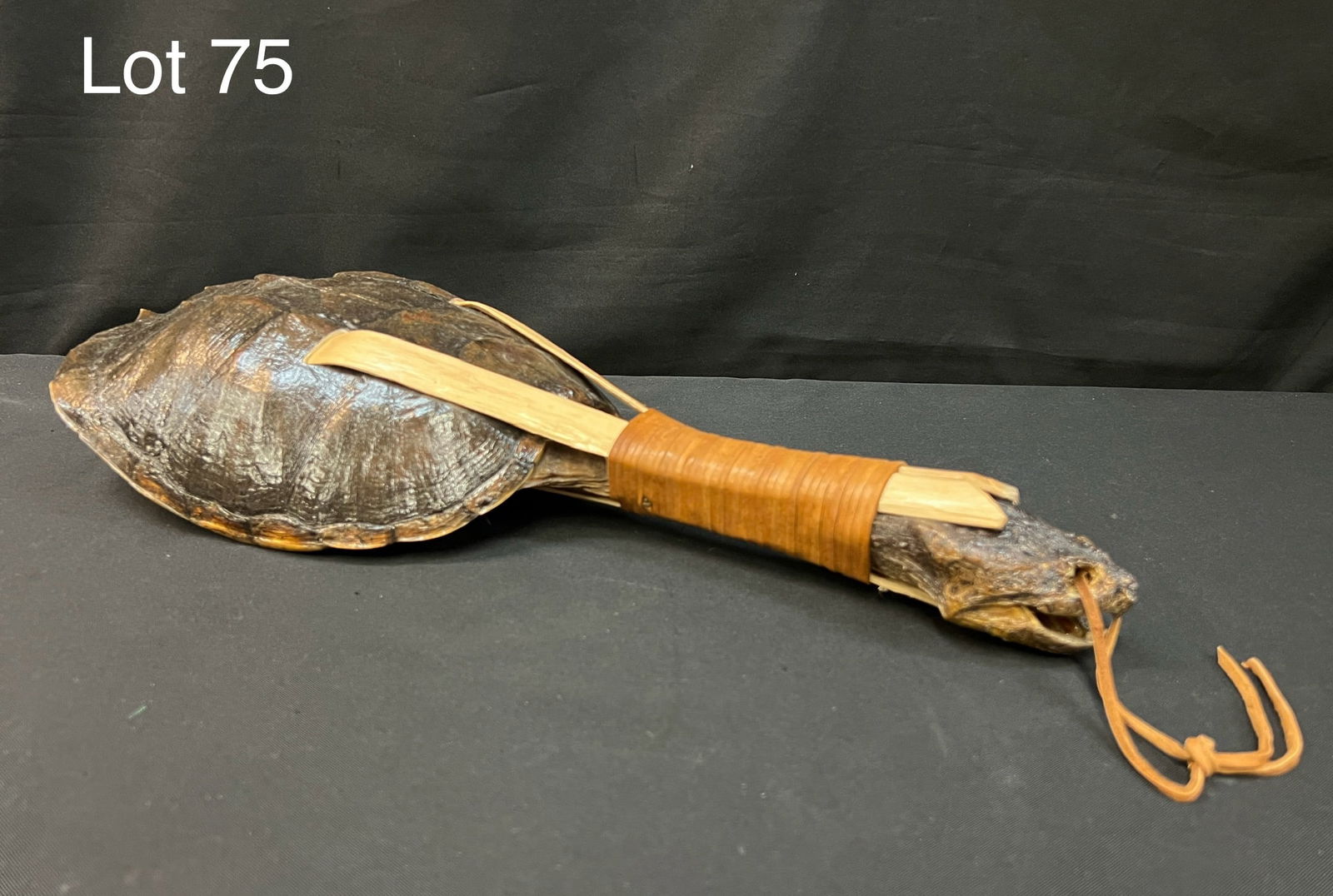 Snapping Turtle Ceremonial Rattle: An Iroquois Indian type rattle made from a snapping turtle, ashwood splints and leather binding. These rattles have been used for centuries in the ceremonies of the "Six Nations" people. 24" long. Sig