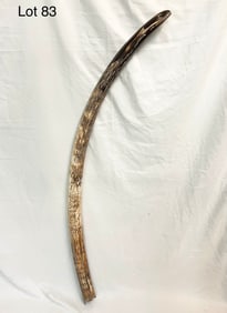 Mastodon Tusk