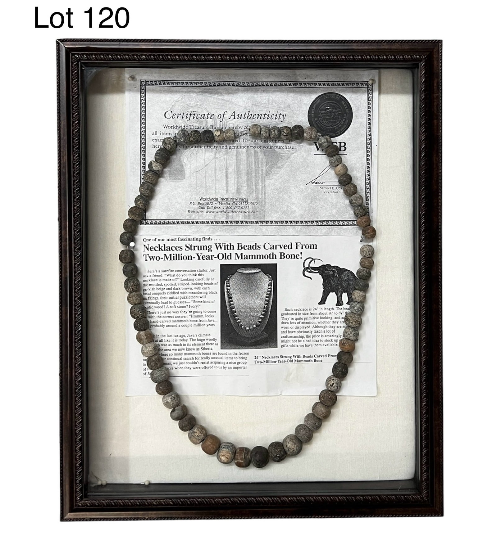 Wooly Mammoth Bone Necklace: A 24" necklace strung with beads carved from two-million year old wooly mammoth bone. Found and made in Java, Indonesia. The necklace is displayed in shadow box with article about the piece and Certif