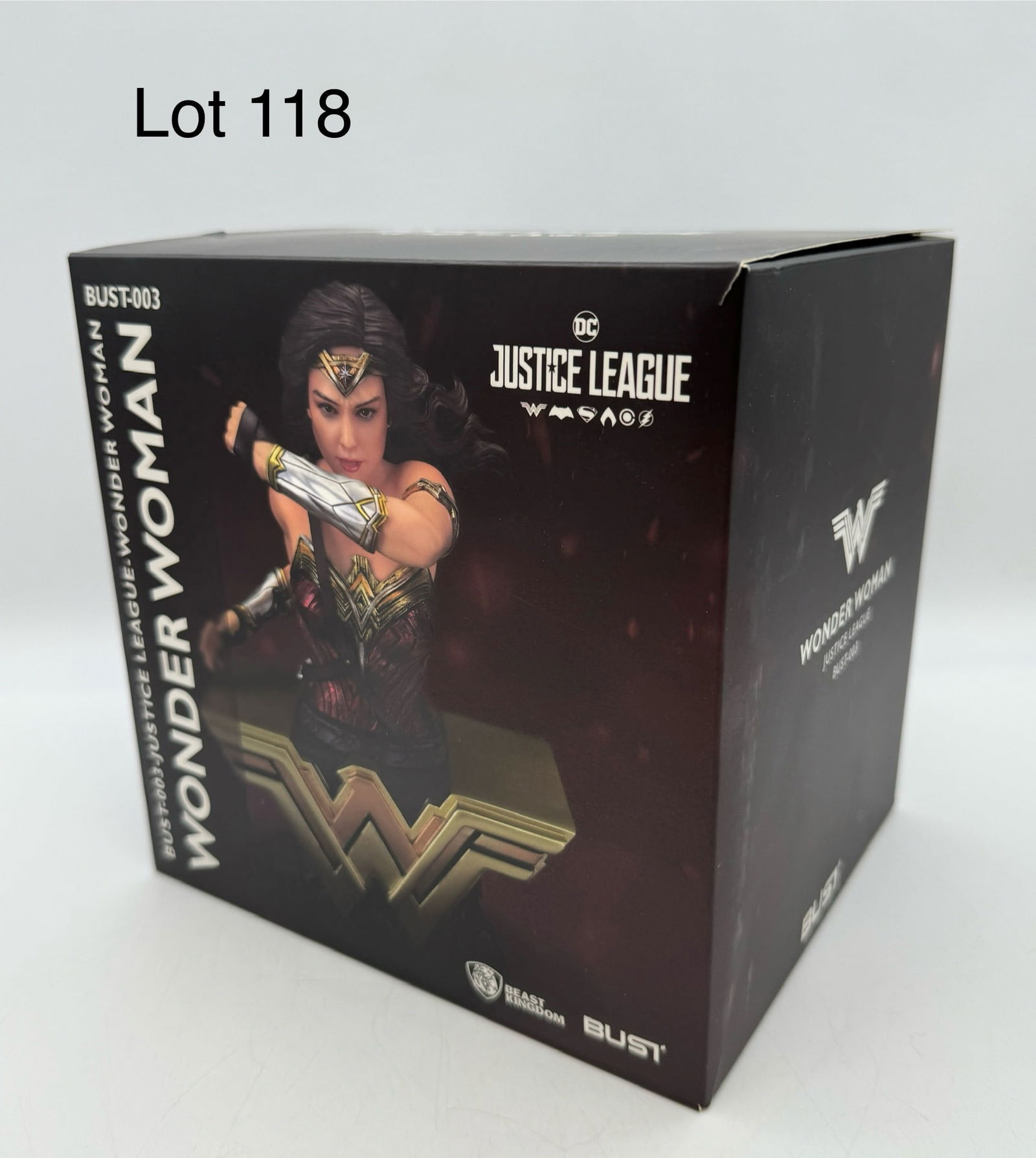 DC Justice League Wonder Woman Bust-003 (1 of 8)