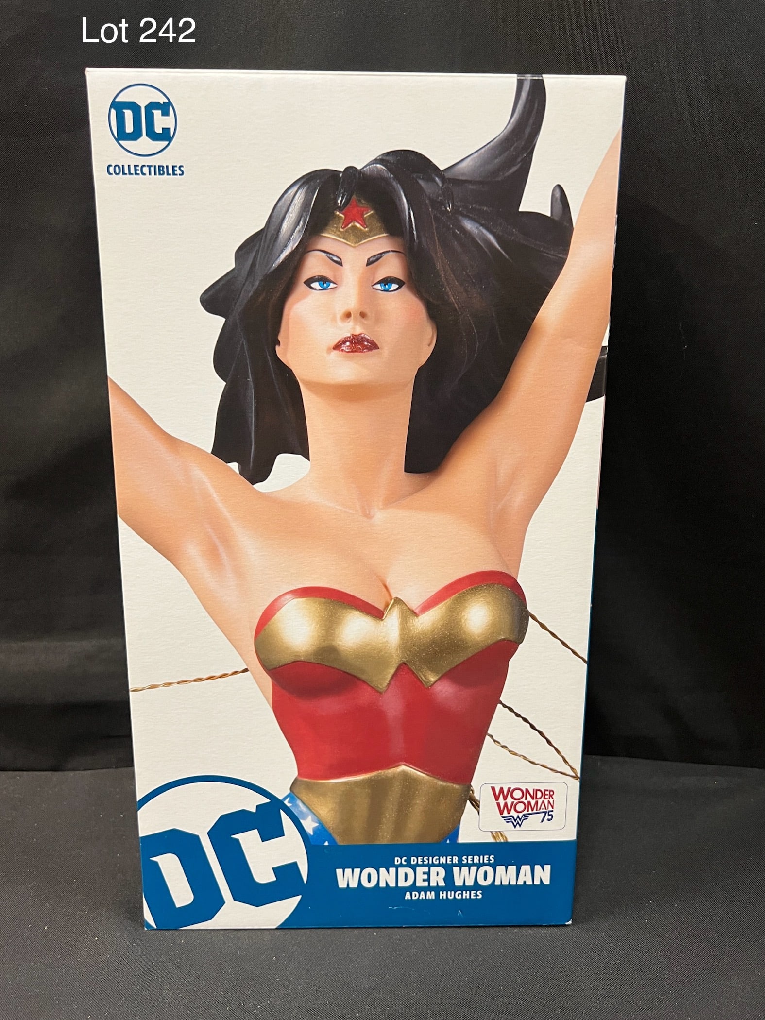 DC Designer Series Limited Edition Wonder Woman Figure by Adam Hughes (1 of 5)