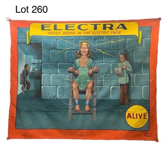 Jonny Meah 'Electra' Circus Sideshow Banner