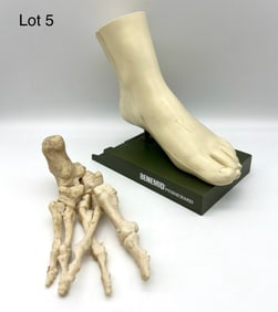 Vintage Foot Models