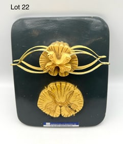Vintage Sargent Welch Spinal Cord Section and Spinal Nerves Anatomical Model