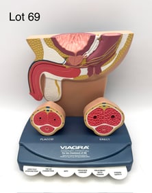 Vintage Viagra Drug Rep Medical Display