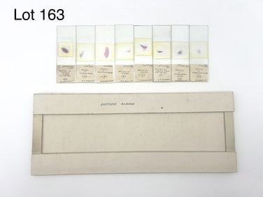 Set of Early 20th Century Microscope Slides of Ductless Glands