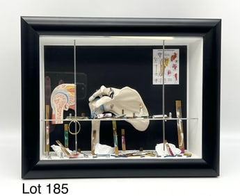 Signed 3B Scientific Anatomical Art Mini Wall Display of Shoulder, New