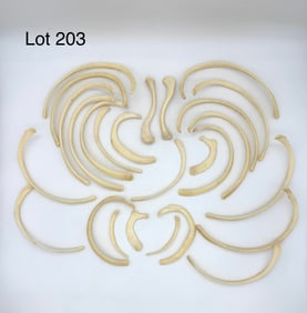 Set of Twenty-Four Authentic Human Rib Bones