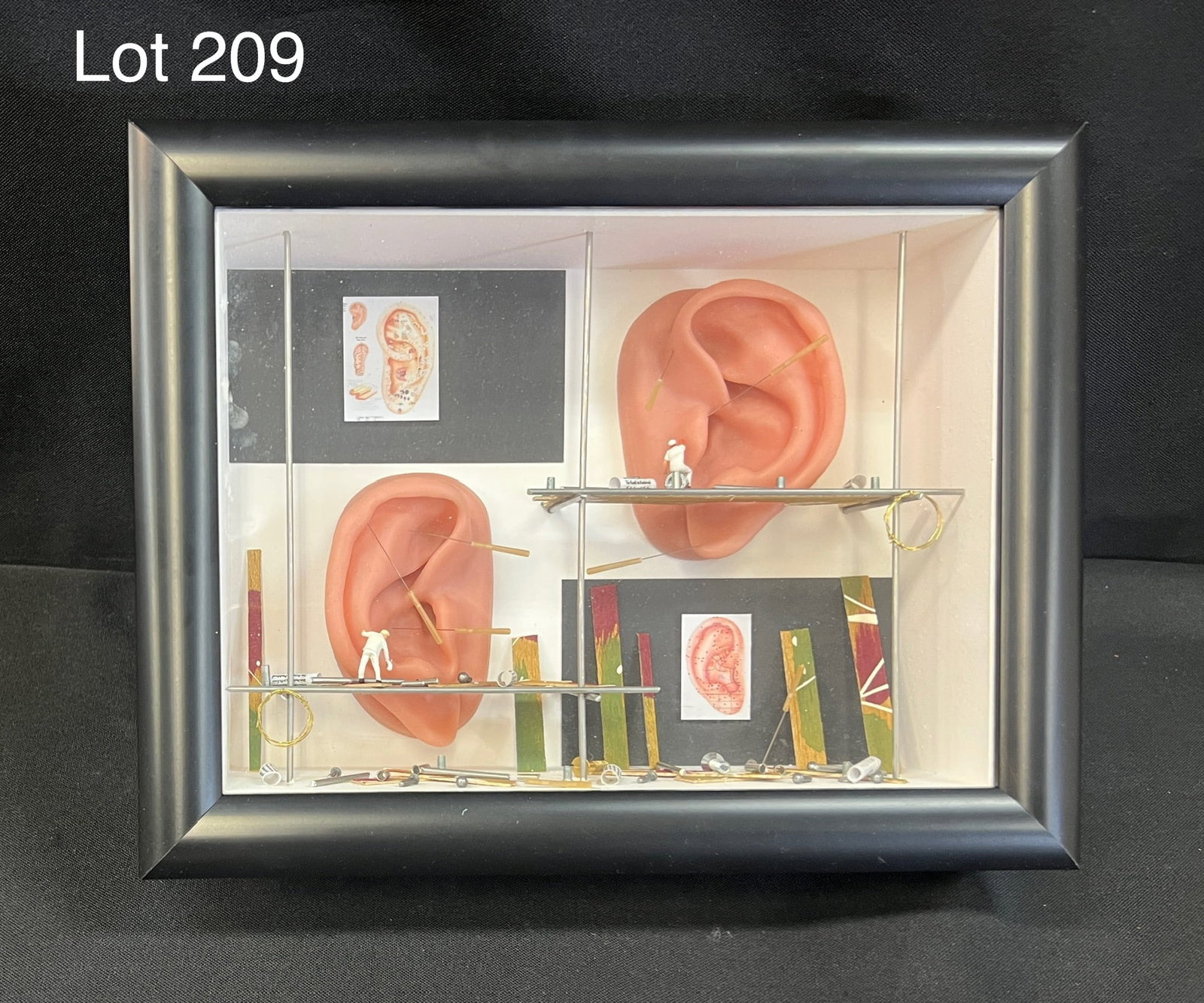 Signed 3B Scientific Mini Wall Display of Acupuncture, New: A 3B Scientific mini wall display showing acupuncture on ears. This display combines the element of unique art with the healing powers of acupuncture. Presented in a black shadow box measuring 11" x 8