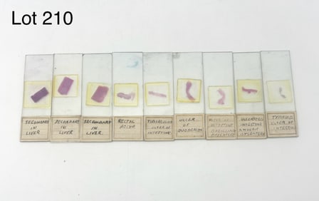 Collection of Cancer Related Microscope Slides