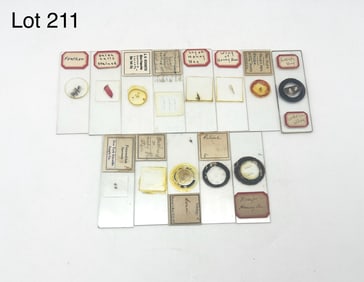 Selection of Microscope Slides Including Insects Parts, Bird Feathers and More