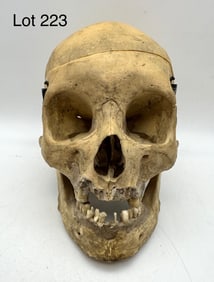Antique Authentic Human Skull