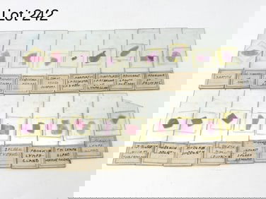 Collection of Early 20th Century Microscope Slides Relating to Diseases in Human Body Including