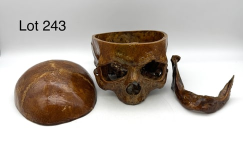 Authentic Human Skull in Three Pieces