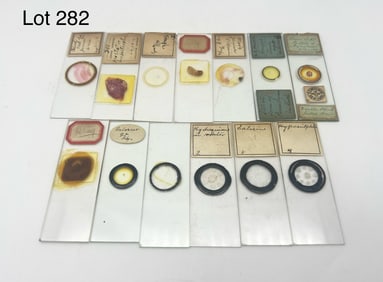 Collection of Antique Microscope Slides
