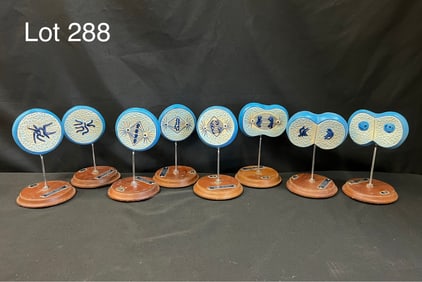 Vintage Carolina Biological Supply Co. Mitosis Cell Division Model
