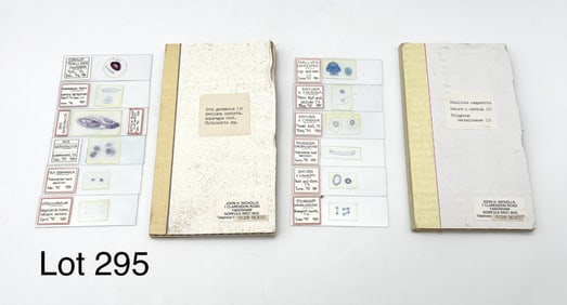 Variety of Plant Microscope Slides