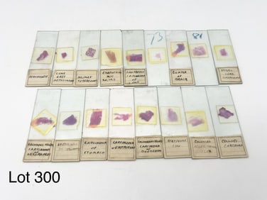 Variety of Early 20th Century Microscope Slides