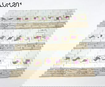 Collection of Early 20th Century Microscope Slides Including the Liver