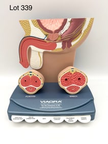 New Old Stock Vintage Viagra Drug Rep Medical Display