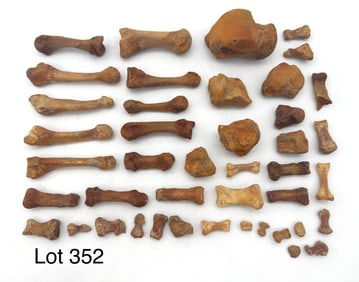 Collection of Vintage Human Bone Smalls