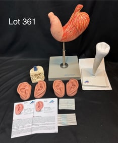 Mixed Collection of Medical Models