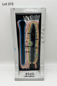 Vintage Sponge Canal System Model
