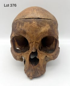 Antique Authentic Human Skull