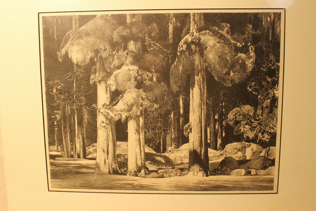 20th century lithograph, trees in a forest, signed (1 of 2)