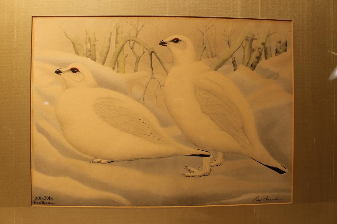 Rex Brasher 301 A & 301 B Allen and Alexander (1 of 5)