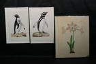 Lot of 3 Hand Colored 19th Century Engravings