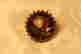 item-131967807=2