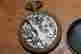 item-131967874=3