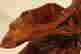 item-131967960=3