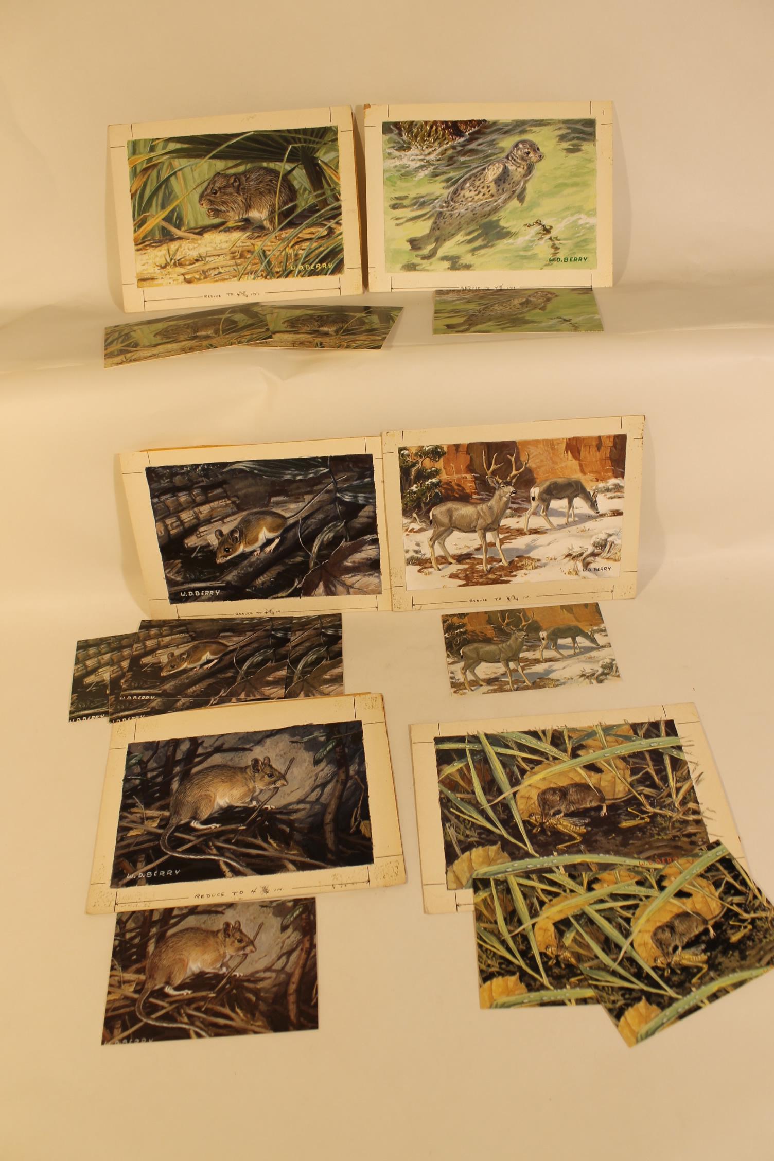 Six William D. Berry Watercolors: William D. Berry or Bill Berry (May 20, 1926 â€“ 1979) watercolor illustrations of wildlife, original sketches done for notecards made for the "National Audubon Society" early 1970's, unframed. B